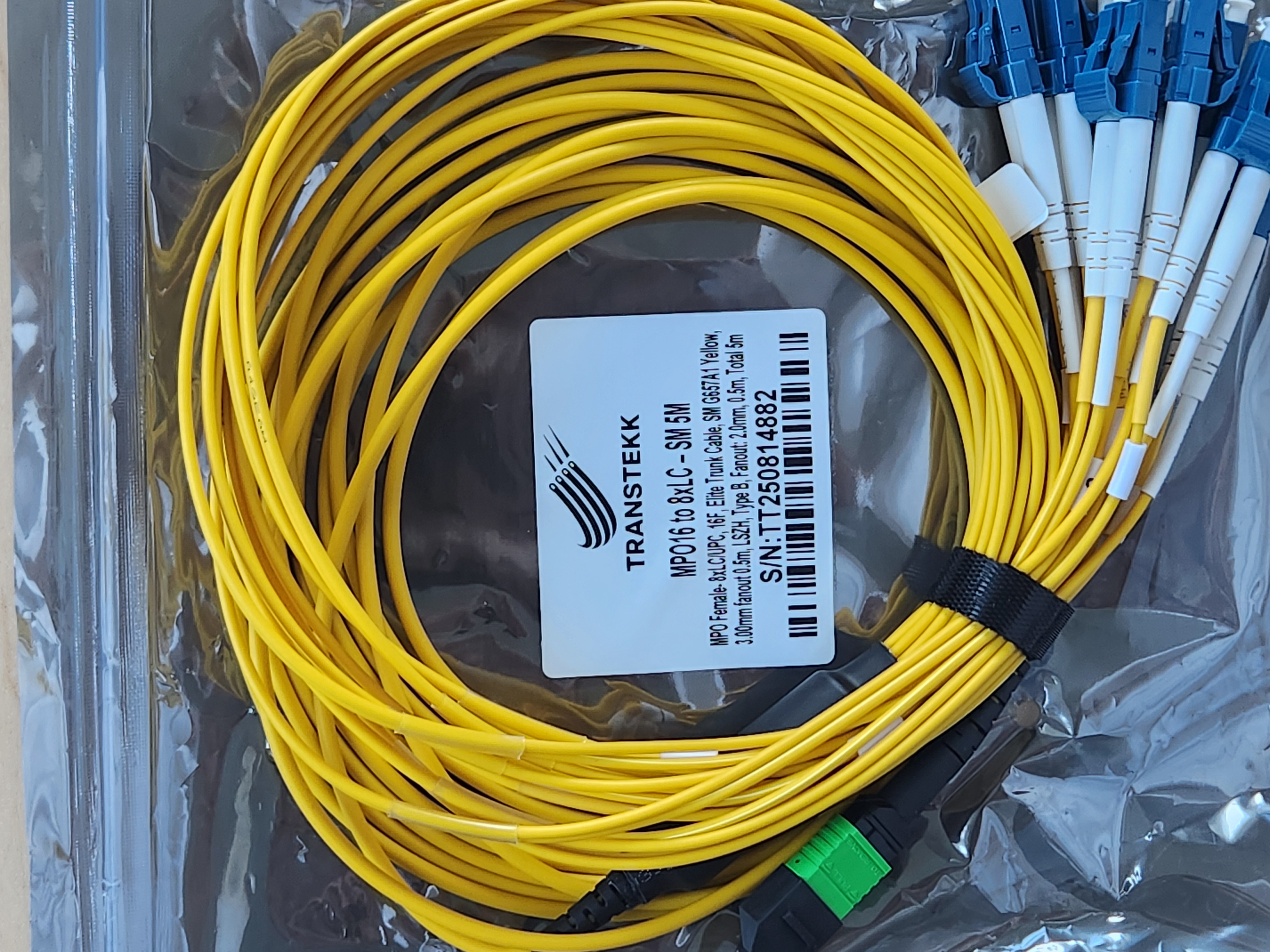 MPO16 to 2xMPO12 yellow conversion cable 5M